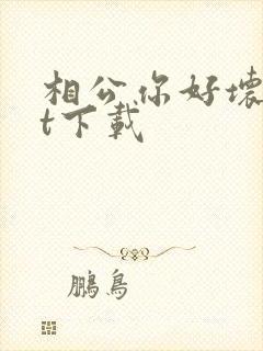 相公你好坏txt下载