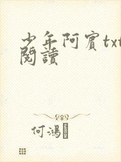 少年阿宾txt阅读