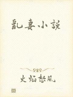 乱妻小说