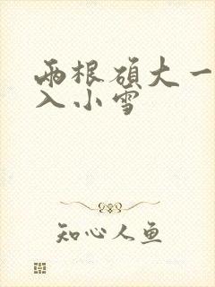 两根硕大一起挤入小雪