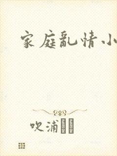家庭乱情小说封面