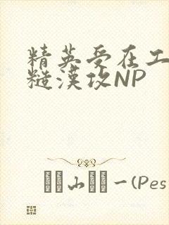 精英受在工地被糙汉攻NP封面