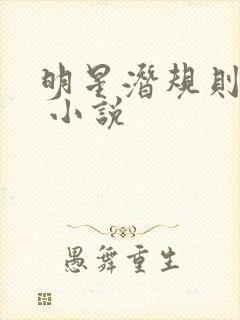 明星潜规则之皇 小说