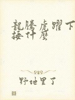 龙腾虎跃下一句接什么