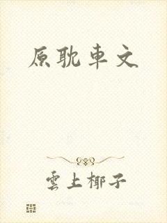原耽车文