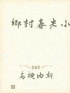 乡村春光小说