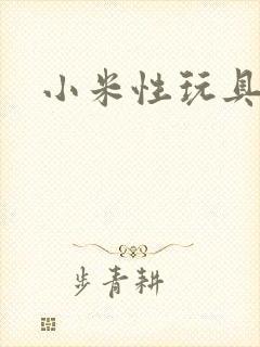 小米性玩具日记