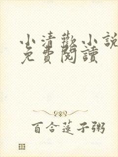 小清欢小说全文免费阅读封面