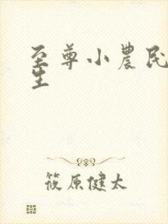 至尊小农民王木生