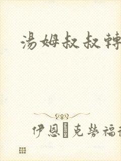 汤姆叔叔转接口