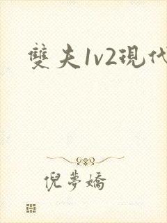 双夫1v2现代