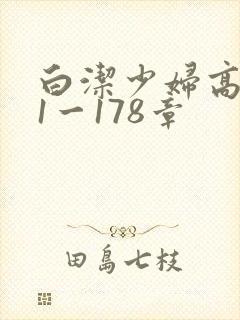 白洁少妇高义第1一178章封面