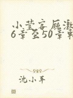 小莹客厅激情46章至50章软件介绍