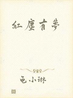 红尘有梦封面