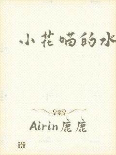 小花喵的水蜜桃封面