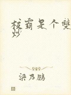 校霸是个双被爆炒封面