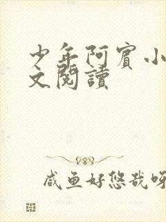 少年阿宾小说全文阅读