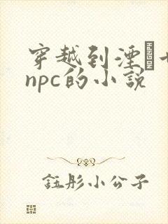 穿越到湮婸世界npc的小说