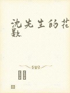 沈先生的花式调数