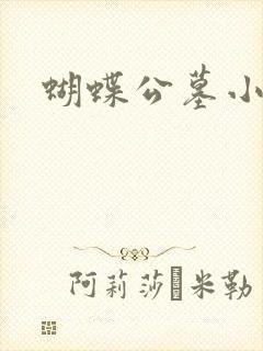 蝴蝶公墓小说封面