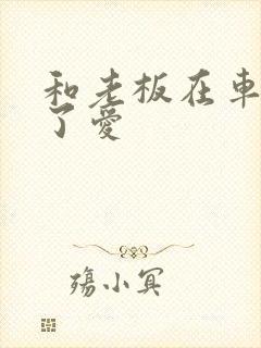 和老板在车里做了爱封面