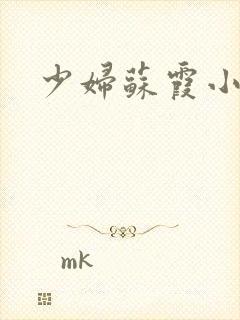 少妇苏霞小说封面