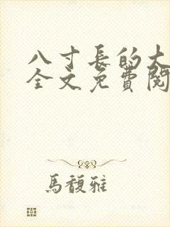 八寸长的大宝贝全文免费阅读