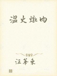 温火炖肉