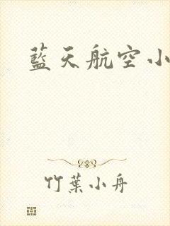 蓝天航空小说