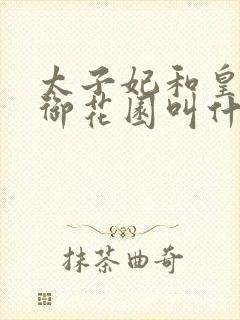 太子妃和皇帝在御花园叫什么小说