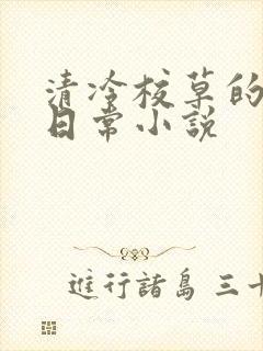 清冷校草的堕落日常小说