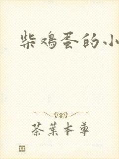柴鸡蛋的小说