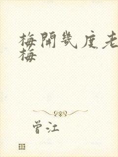 梅开几度老周张梅封面