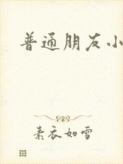 普通朋友小说