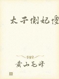 太子侧妃傻乎乎