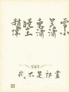 赵晓东吴雪晴郑伟王潇潇小说封面