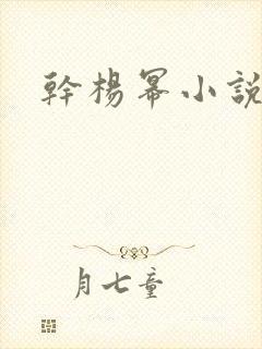 干杨幂小说封面