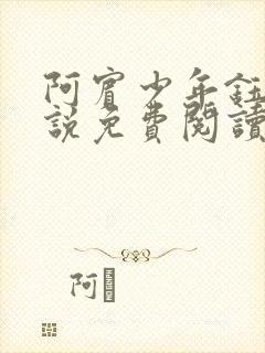 阿宾少年钰慧小说免费阅读笔趣阁封面