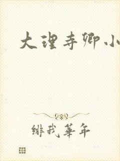 大理寺卿小说封面