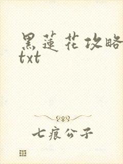 黑莲花攻略手册txt