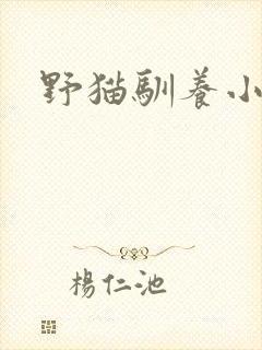 野猫驯养小说封面