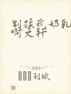 别揉我奶乳嗯～啊文轩封面