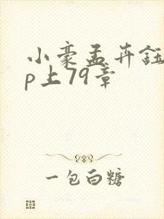 小豪孟卉钰慧三p上79章封面