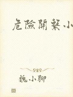 危险关系小说封面