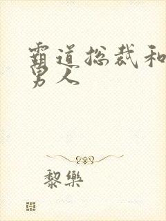 霸道总裁和他的男人封面