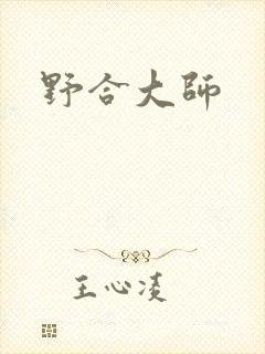 野合大师封面