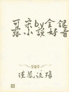 可宋by金银花露小说好看吗