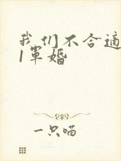 我们不合适1v1军婚