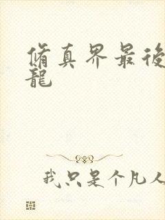 修真界最后一条龙