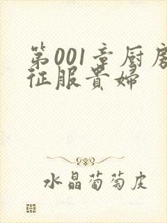 第001章厨房征服贵妇